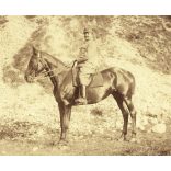 Magyar, K.u.K. katona egyenruhában, lóháton, 1. világháború, 1918, 1910-es évek, Eredeti fotó, hátulján feliratozott papírkép, Szatmárnémetibe címezve.  