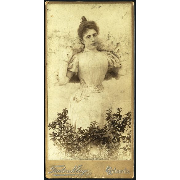 Fantó és Kluge műterem, GYŐNGYŐS (Gyöngyös), elegáns karcsú nő gyönyörű ruhában, különös háttér, kesztyűben, virágokkal, monarchia, 1890-es évek, Eredeti kabinetfotó.  