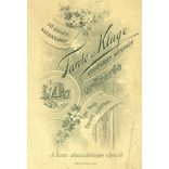 Fantó és Kluge műterem, GYŐNGYŐS (Gyöngyös), elegáns karcsú nő gyönyörű ruhában, különös háttér, kesztyűben, virágokkal, monarchia, 1890-es évek, Eredeti kabinetfotó.  