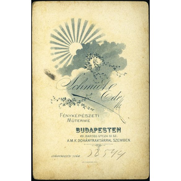 Schmidt Ede műterme, Budapest, elegáns karcsú nő portréja, monarchia, 1890-es évek, Eredeti kabinetfotó. 