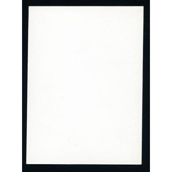 Somogyi József szobrászművész munka közben. Művészet, műterem, híresség, portré, foglalkozás, 1950-es évek, Eredeti fotó, papírkép.  