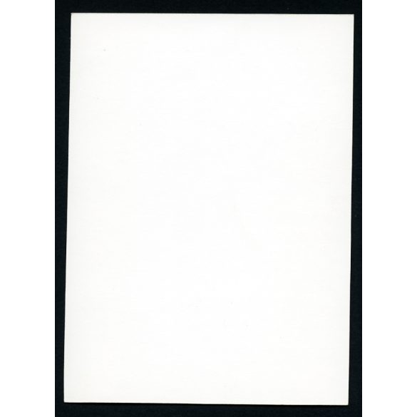 Kiss István (?)  szobrászművész munka  közben. Művészet, műterem, híresség, portré, foglalkozás, 1950-es évek, Eredeti fotó,  papírkép.   