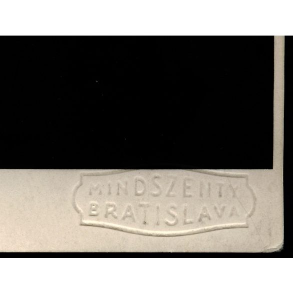 Mindszenty műterem, Pozsony, elegáns férfi, (gróf?) Pálffy János portréja, Horthy-korszak, 1932, 1930-as évek, Eredeti fotó, hátulján feliratozott, aláír, szignózott, mélynyomóval jelzett papírkép.