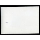 Easter futam a Hungaroring első évében, Mogyoród, versenyautó, Olivetti, Törley reklám, Forma 1 pálya, jármű, közlekedés, szocializmus, 1986, 1980-as évek, Eredeti fotó, papírkép.  