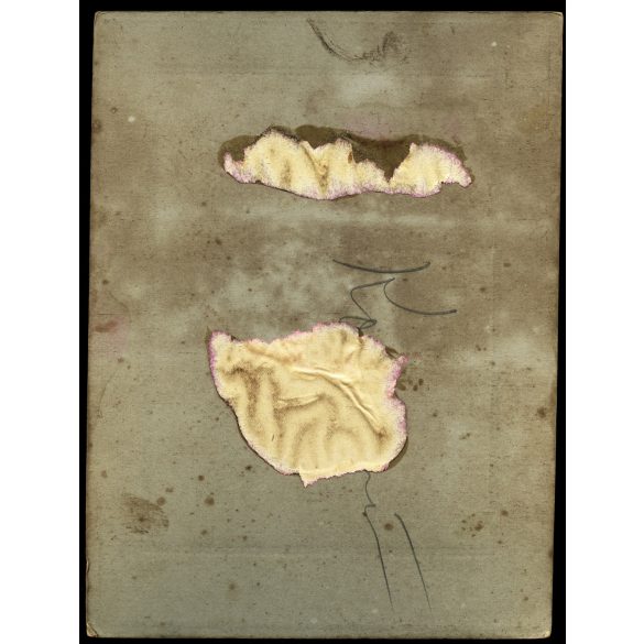 Nagyobb méret, Kohlmann Sándor műterme, Ungvár (Kárpátalja), esküvő, menyasszony, vőlegény, virág, ünnep, monarchia, 1900-as évek, Eredeti kabinetfotó, hátulján ragasztó nyomok. 