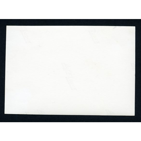 Magyar honvédek lovakkal, fegyverekkel, Kassa, (Felvidék),, katonatisztek, katona, egyenruha, 2. világháború, Horthy-korszak, 1930-as évek, Eredeti fotó, papírkép.  