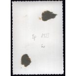 Hősök oltára, Rákoskeresztúr (Budapest), új háborús emlékmű, Horthy-korszak, 1933, 1930-as évek, Eredeti fotó, papírkép.  