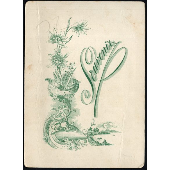 Nagyobb méret, idős elegáns pár magyaros ruhában, monarchia, 1900-as évek. A fotó valószínűleg az Egyesült Államokban készült, és magyar emigránsokat ábrázol. Eredeti kabinetfotó, Helene Portrait. 