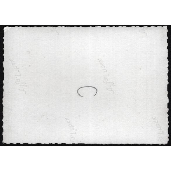 Elegáns család magyar rendszámú zászlókkal jelzett személygépkocsival, Peerless model 60 amerikai gyártmású autó, jármű, közlekedés, Horthy-korszak, 1920-as évek, Eredeti fotó, papírkép.   méret megközelítőleg (centiméterben): 6 x 8.2 Használt! Erede