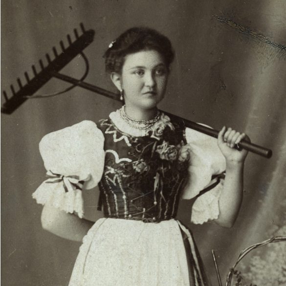 Mildner I. fényképészeti műterme, Dunaföldvár, elegáns nő magyaros ruhában, gereblyével, népviselet, különös, helytörténet, monarchia, 1890-es évek, Eredeti kabinetfotó.  