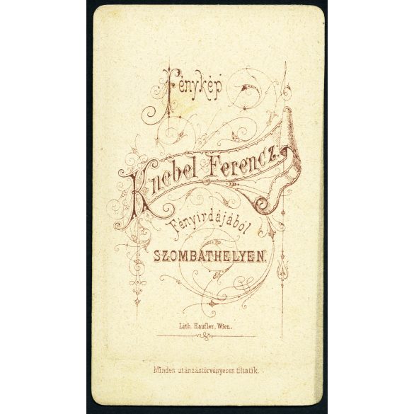Knebel Ferenc fényirdája, Szombathely, elegáns nő portréja, gyönyörű haj, monarchia, 1860-as évek, Eredeti CDV, vizitkártya fotó.  
