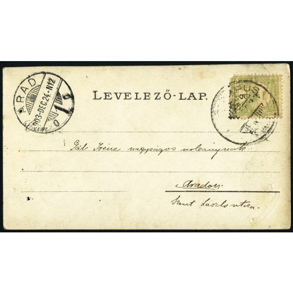 Csonka Géza műterme, Marosvásárhely, Erdély, elegáns nő virágokkal, helytörténet,  monarchia, 1903, 1900-as évek, Eredeti fotó, mélynyomóval jelzett papírkép.   