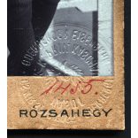 Hegedűs műterem, Rózsahegy, Felvidék,  fiú, Francsek György portréja, Kassa-Oderbergi Vasút (KsOD)  Személyazonossági igazolójegy, a társaság mélynyomó bélyegzőjével ellátva, közlekedés, monarchia, 1913, 1910-es évek, Eredeti CDV, vizitkártya fotó ra