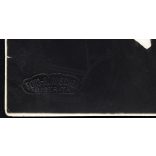 Römischer műterem, Beszterce, Erdély, (Bistrita, Románia), Máramarossziget, Erdély, elegáns fiú portréja, magyaros ruha, monarchia, 1920-as évek, Eredeti fotó, mélynyomóval jelzett, hátulján feliratozott papírkép. 