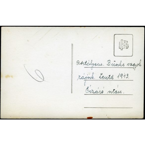 Iskolás lányok magyaros ruhában, Zenta, Vajdaság, magyar sapkajelvény, osztály, tanár, évzáró, helytörténet, Horthy-korszak, 1943, 1940-es évek, Eredeti fotó, hátulján feliratozott papírkép. 