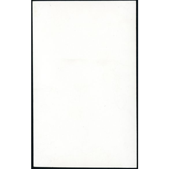 Nő motoros ruhában, Pannonia TLT motorkerékpárral, jármű, közlekedés, szocializmus, 1950-es évek, Eredeti fotó, papírkép.   