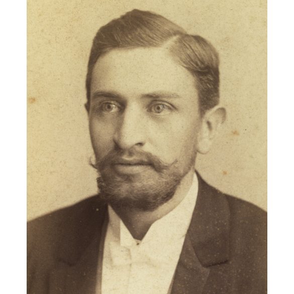 Fekete műterem, Nagyvárad, Erdély, elegáns férfi szakállal, bajusszal, portré, monarchia, 1890-es évek, Eredeti kabinetfotó.  