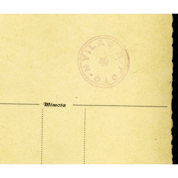 Nyilas Foto Erdély, Székelyföld,  elegáns nők férfiakkal, katona egyenruhában, férfiak különös kitűzővel, Horthy-korszak, 1920-as évek, Eredeti, pecséttel jelzett fotó, papírkép.  