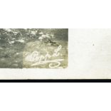 Popp L. (?) fotográfus, Fiume, gyerekek (Lurkó és Magdus) triciklin, játék, jármű, közlekedés, monarchia, 1910, 1910-es évek, Eredeti hátulján feliratozott fotó, papírkép.   