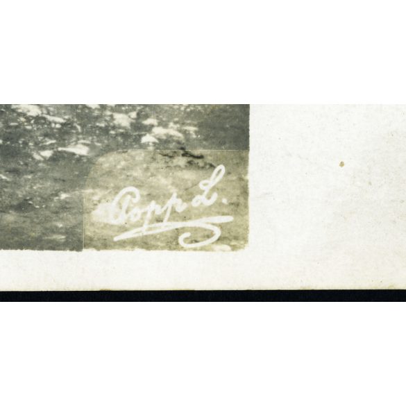 Popp L. (?) fotográfus, Fiume, gyerekek (Lurkó és Magdus) triciklin, játék, jármű, közlekedés, monarchia, 1910, 1910-es évek, Eredeti hátulján feliratozott fotó, papírkép.   