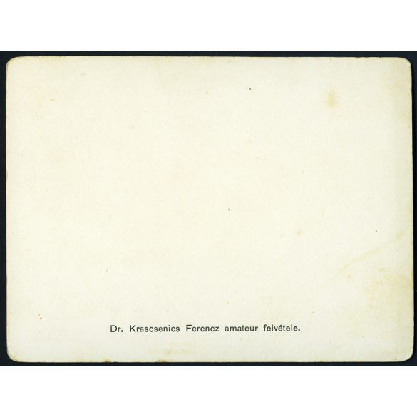 „Dr. Krascsenics Ferencz amateur felvétele”, családi fotó különös kiretusált arccal, Krascsenics Ferenc felvidéki főnemesi családból származik, valószínűleg ő volt a Csallóköz-Szerdahelyi Kaszinó bizottmányi tagja, monarchia, 1900-as évek, Eredeti, h