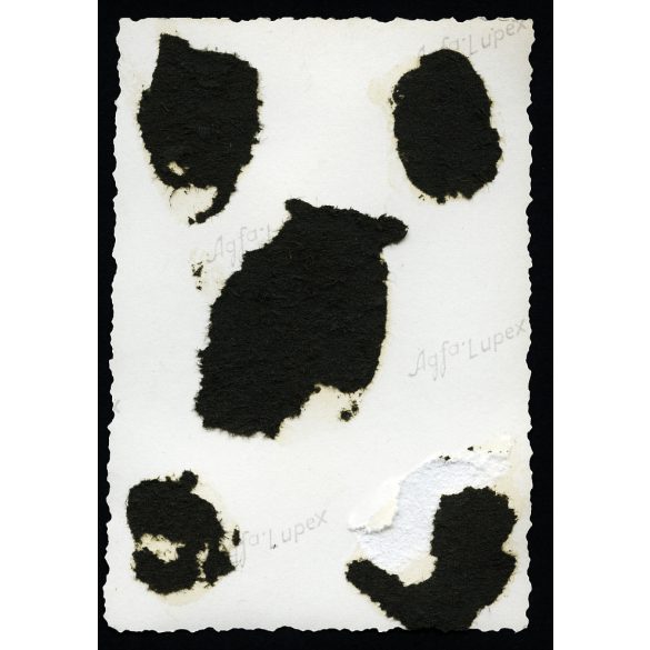 Úri társaság az Üdülőháznál, Mátrafüred, Hudson Essex Super Six amerikai személygépkocsi, vendéglátás, üdülés, Mátra, autó, jármű, közlekedés, Horthy-korszak, 1930-as évek, Eredeti fotó,  papírkép, hátulján ragasztásnyomok, sérülés.  