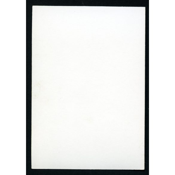 Ikarus 55 távolsági autóbusz Budapest táblával. busz, jármű, közlekedés, szocializmus, 1960-as évek, Eredeti fotó,  papírkép.  