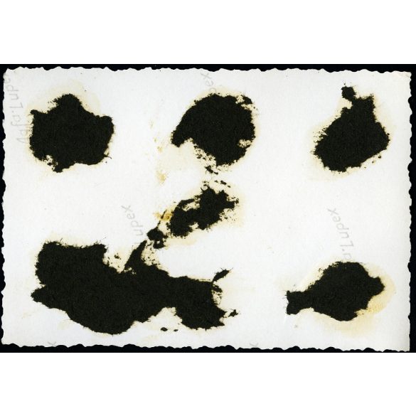 Mátrai Gyógyintézet kékestetői egysége, úri társaság a szálló teraszán, Mátra, vendéglátás, turisztika, Horthy-korszak, 1930-as évek, Eredeti fotó, papírkép, hátulján ragasztásnyomok. 