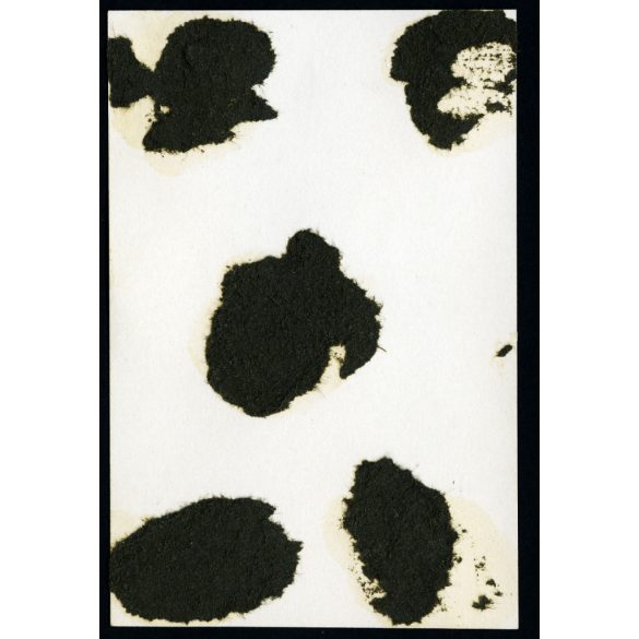 Fiatal pár nyitott Ford T modell Touring személygépkocsival, Magyar Kir. Honvéd Légierő pilótasapka (?), katona, autó, jármű, közlekedés, különös, Horthy-korszak, 1930-as évek, Eredeti fotó, papírkép, hátulján ragasztásnyom. 