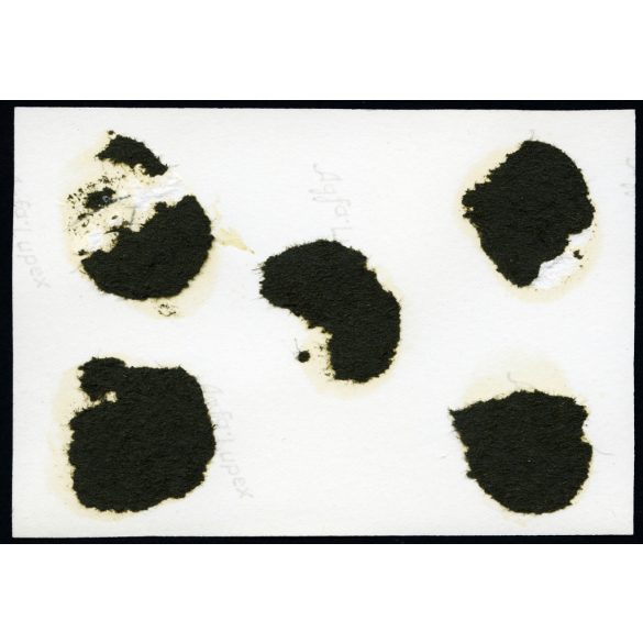 Hudson  Essex Super Six amerikai személygépkocsi magyar rendszámmal (BD 017), elegáns párok virággal, autó, jármű, közlekedés, Horthy-korszak, 1930-as évek, Eredeti fotó,  papírkép, hátulján ragasztásnyomok, sérülés.  