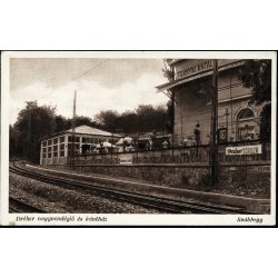   Áldor Dezső felvétele, Dréher nagyvendéglő és kávéház, Svábhegy, Budapest, söröző, étterem, vendéglátás,  Horthy-korszak, helytörténet, 1920-as évek, Eredeti képeslap fotó, papírkép.