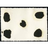 Fiatal férfi fürdőruhában, Esztergom, strand, uszoda, fürdőtelep, Esztergomi Takarékpénztár fejlesztése, helytörténet, Horthy-korszak, 1930-as évek, Eredeti fotó, papírkép, hátulján ragasztásnyom,.   