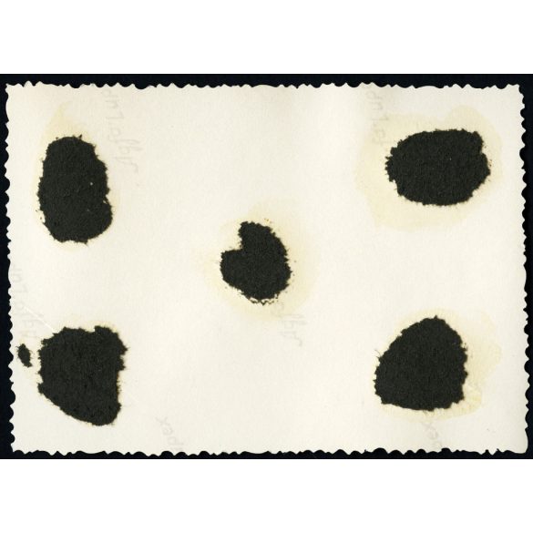 Fiatal férfi fürdőruhában, Esztergom, strand, uszoda, fürdőtelep, Esztergomi Takarékpénztár fejlesztése, helytörténet, Horthy-korszak, 1930-as évek, Eredeti fotó, papírkép, hátulján ragasztásnyom,.   