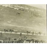 A II. zászlóalj, olasz front (?), Isonzó (?), 1. világháború, fegyver, egyenruha, monarchia, 1917. III. 21, 1910-es évek, Eredeti fotó, papírkép, hátulján feliratozott.  