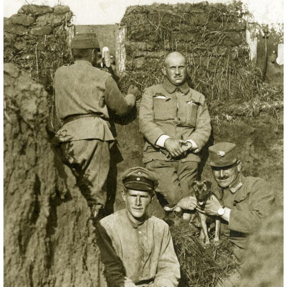 Magyar és német katonák fedezékben, kutyával, Sokola (Falkenberg) Lengyelország,  egyenruha, 1. világháború, monarchia, 1916. március 11, 1910-es évek, Eredeti fotó, papírkép, elején-hátulján feliratozva.  