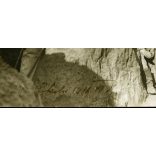 Magyar és német katonák fedezékben, kutyával, Sokola (Falkenberg) Lengyelország,  egyenruha, 1. világháború, monarchia, 1916. március 11, 1910-es évek, Eredeti fotó, papírkép, elején-hátulján feliratozva.  