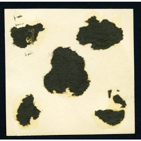 Utazás nyitott Ford T modell Touring személygépkocsival, autó, jármű, közlekedés, magyar rendszám, Horthy-korszak, 1930-as évek, Eredeti fotó, papírkép, hátulján ragasztásnyom.