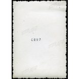 Fejes József drogériája, Budapest, XII. kerület Alkotás utca 13., elegáns férfi virágokkal, üzlet, kirakat, , Horthy-korszak, 1940-es évek. Eredeti fotó, papírkép.   