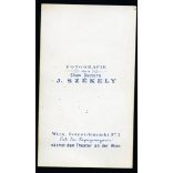 Korai Székely fotó, Dr. Székely József műterme, Bécs, Ausztria, elegáns kislány különös fotelben, 1864, 1860-as évek, Eredeti CDV, korai vizitkártya fotó.  