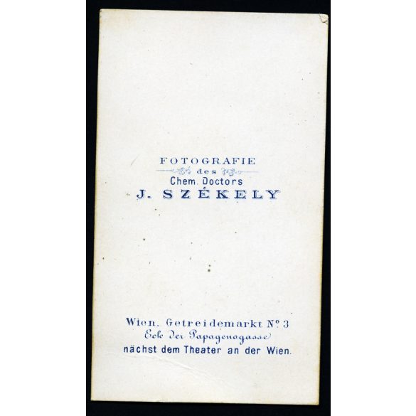 Korai Székely fotó, Dr. Székely József műterme, Bécs, Ausztria, elegáns kislány különös fotelben, 1864, 1860-as évek, Eredeti CDV, korai vizitkártya fotó.  