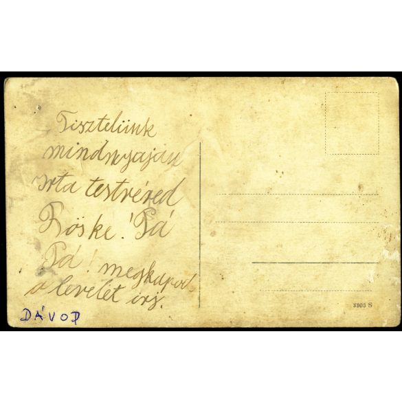 Lányok népviseletben, Dávod, ünnep, helytörténet, Bács-Kiskun megye, Baja, Horthy-korszak, 1920-as évek, Eredeti fotó, hátulján feliratozott papírkép.  