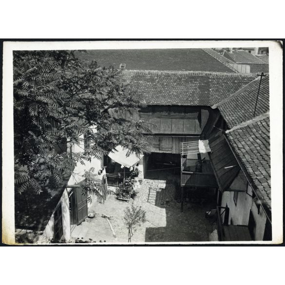 Tabán, hangulatos kövezett belső udvar ecetfával, Budapest, 1. kerület, épület, lakóház,  helytörténet, Horthy-korszak 1930-as évek, Eredeti fotó, papírkép.  