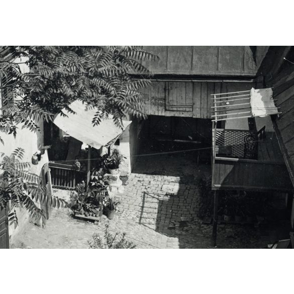 Tabán, hangulatos kövezett belső udvar ecetfával, Budapest, 1. kerület, épület, lakóház,  helytörténet, Horthy-korszak 1930-as évek, Eredeti fotó, papírkép.  