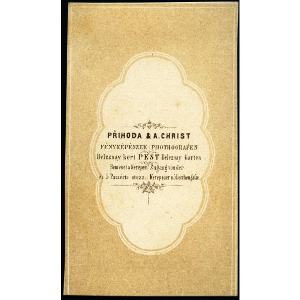 Prihoda & A. Christ műterme, Pest, Beleznay kert, elegáns nő gyönyörű ruhában, portré, 1860-as évek, Eredeti CDV, korai vizitkártya fotó.  