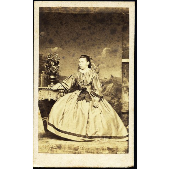 Louis Henri műterme, Pozsony (Pressburg), Felvidék, elegáns nő gyönyörű ruhában, különös festett háttér, portré, 1860-as évek, Eredeti CDV, korai vizitkártya fotó, ritka műterem, felszíne foltos. 