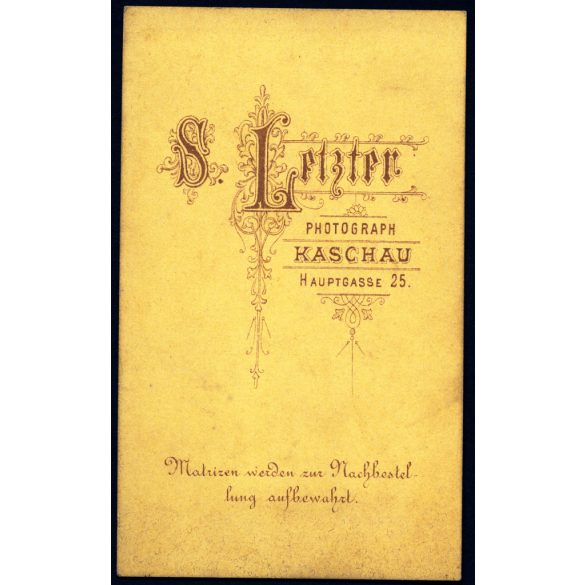 Letzter Sándor műterme, Kassa (Kaschau), Felvidék, elegáns fiatal lány gyönyörű ruhában, 1870-es évek, Eredeti CDV, korai vizitkártya fotó.  