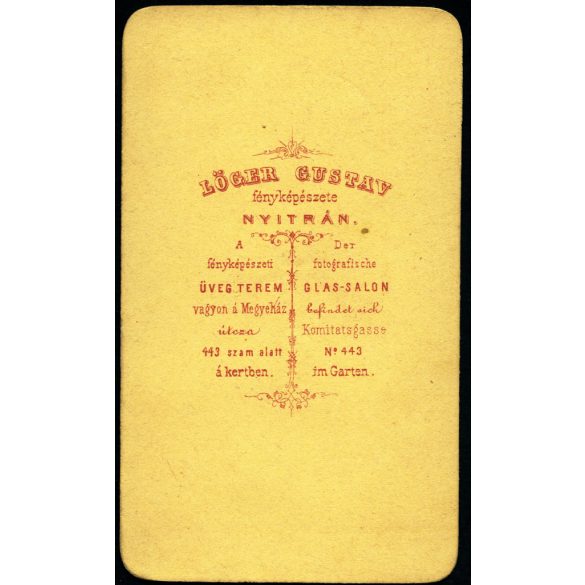 Löger Gustav műterme, Nyitra (Neutra), Felvidék, elegáns nő nyakláncban, „A fényképészeti üveg terem vagyon a Megyeház útcza 443 szám alatt á kertben.” 1860-as évek, Eredeti CDV, vizitkártya fotó.  
