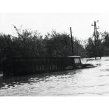 Tiszai árvíz, Győrtelek, Zil teherautó, autó, jármű, közlekedés, Szabolcs-Szatmár-Bereg megye, helytörténet, 1970, 1970-es évek, szocializmus, Eredeti fotó, hátulján feliratozott papírkép.  