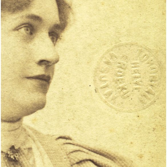 Oldal István műterme, Nagybecskerek, Vajdaság, elegáns nő portréja, Torontáli Helyiérdekű Vasutak szárazbélyegzővel, közlekedés, monarchia, 1900-as évek, Eredeti CDV, vizitkártya fotó, hátulja sérült, vasúti igazolvány. 
