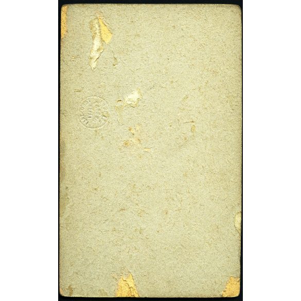 Oldal István műterme, Nagybecskerek, Vajdaság, elegáns nő portréja, Torontáli Helyiérdekű Vasutak szárazbélyegzővel, közlekedés, monarchia, 1900-as évek, Eredeti CDV, vizitkártya fotó, hátulja sérült, vasúti igazolvány. 